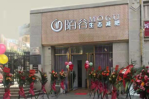陌谷減肥店合作公司